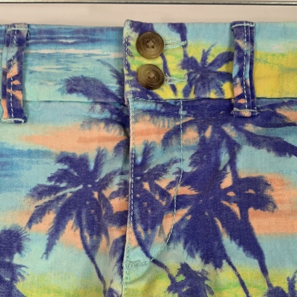 American Eagle Summer Sunset Palm Tree Shorts - Picture 2 of 7